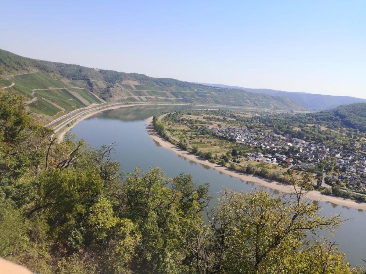 Ferienhaus Steigrhein Filsen Dış mekan fotoğraf