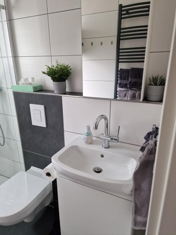 Ferienhaus Steigrhein Filsen Dış mekan fotoğraf